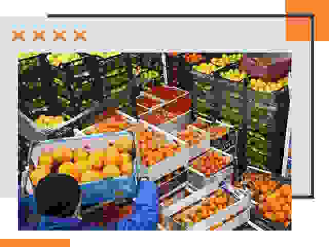 Перевозка скоропортящихся продуктов в Новокуйбышевске